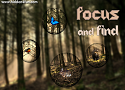 Focus and Find