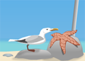 Seagull Flight Játékok