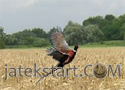 Pheasant Hunting Online Játékok